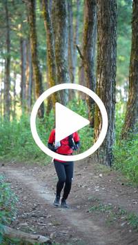 BIB:  <button type="button" onclick="openModal(27293292)" class="btn btn-primary btn-sm float-right" data-toggle="modal" data-target=".modal-high-quality">
                <i class="fa fa-download"></i> Download
                </button>